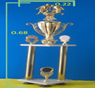 trofeo doble de lujo